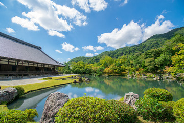 Fototapeta premium 庭園