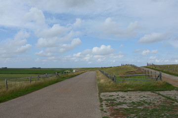 Obraz premium weg met hek op de dijk van van Texel aan de Waddenzee