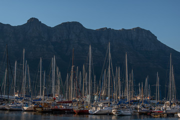 Cape Town Boats
