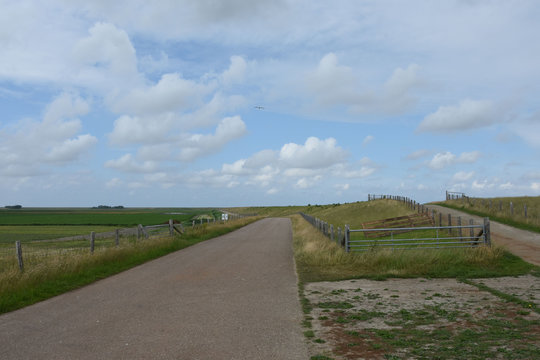 weg met hek op de dijk van van Texel aan de Waddenzee