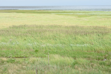 uitzicht op de Waddenzee vanaf de dijk van eiland Texel