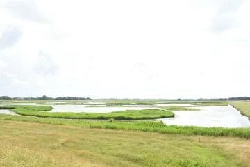 Fototapete Seen eines Vogelschutzgebietes auf der Insel Texel nahe dem Deich des Wattenmeeres © henkbouwers