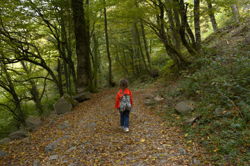 Fototapeta premium little girl walking on the road in the woods