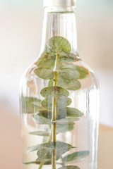 Décoration en verre