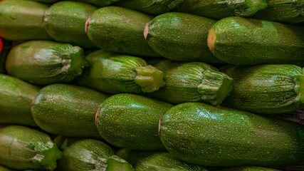 Fresh green pumpkins background