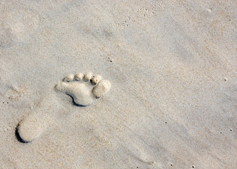 Fototapeta na wymiar Single footprint in the sand landscape