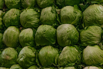 Fototapeta na wymiar Fresh lettuces background