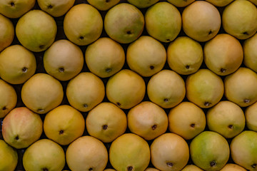  Fresh guava background