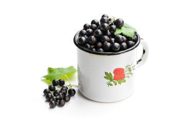 Fresh black currant in old white mug isolated on white