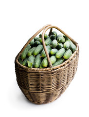 Big basket full of fresh cucumbers isolated on white