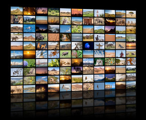 A variety of images of Landscapes and Animals as a big image wall, documentary channel