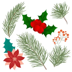 Gordijnen Tropische Bladeren Christmas tree branches set for decor. Collection of pine branches. Vector set of christmas graphic elements. Merry Christmas design for invitation and greeting card, posters. Hand drawn winter plants  © glu_51