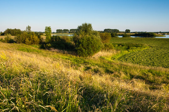 Floodplains of Nederrijn River at Amerongse Berg in Spring