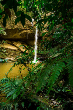 waterfall in the forest