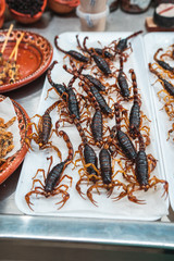 Escorpiones comida