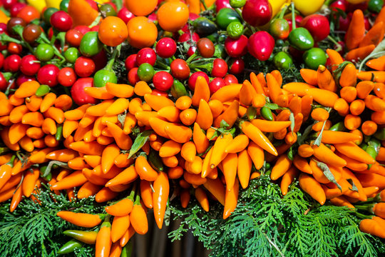 colorful variety of peppers