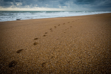 Trace de pas humains sur une plage par mauvais temps