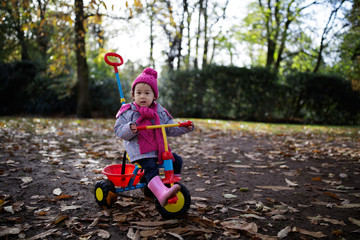 toddler baby girl play bicycle in sunny autumn forest park