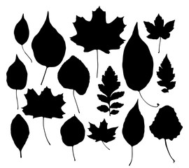 Leaves silhouettes set isolated on white background vector