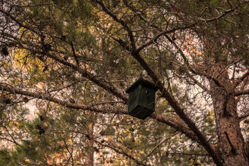Kleines h&ouml;lzernes Vogelhaus, das am Baum h&auml;ngt