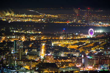 View of night Vienna from the mountain Kahlenberg. Austria