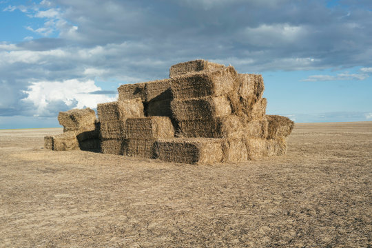 Pile of stacked hay bales on farmland