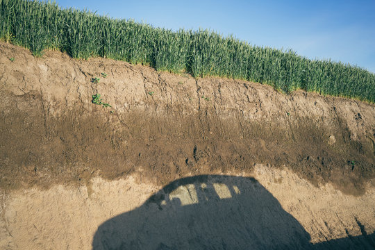 Shadow of car along dirt road, wheat field above