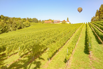 Hot air balloon flying over the vineyards along austrian wine road, Austria Europe