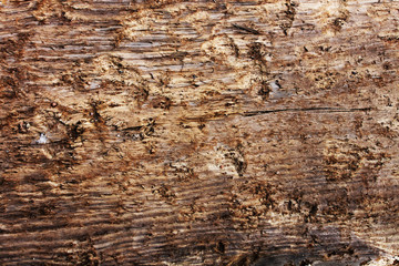 old wood texture