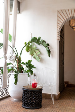 Pitcher filled with a drink and a glass on a tray in a room with a potted plant