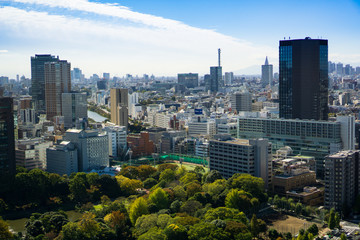 Obraz premium Tokyo cityscape on a sunny day