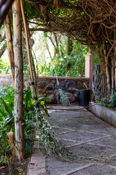 Patio surrounded by plants