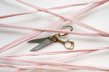 silk ribbon crisscrossing over a pair of scissors