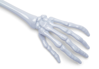 Skeleton hand