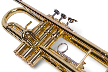 Trumpet Close Up