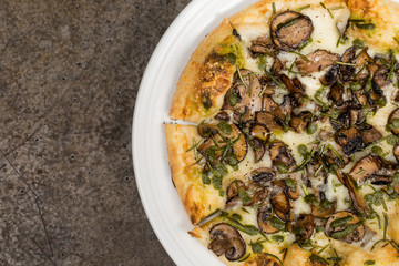 Tasty Pizza and Ingredients