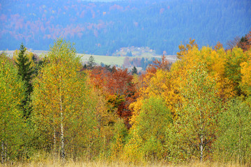 Autumn Landscape Background