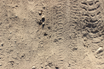 Traces markings tyre tire tracks and stones on dirt road background 