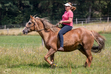 Reiterin mit schönem Pferd