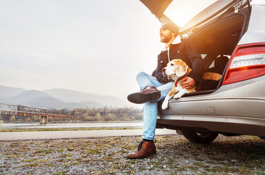Breaded man in warm clothes siting with beagle in car trunk. Traveling with pet