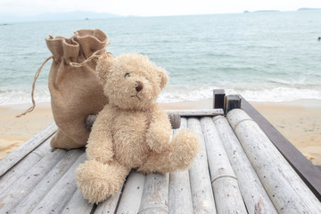 Bear is sitting alonely vary lonely at the seaside