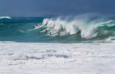 Surfers catching a wave in Hawaii