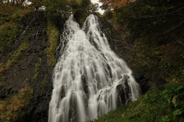 Obraz premium 知床 オシンコシンの滝 ( The Oshinkoshin waterfall in Shiretoko National Park, Hokkaido, Japan )