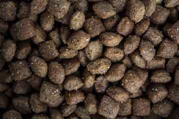 Dog food background