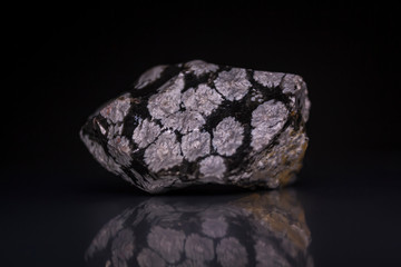 Close up view of Snowflake Obsidian, volcanic rock