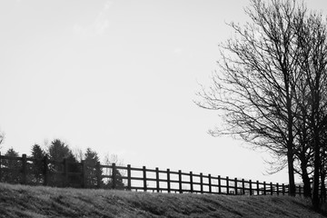Closeup of black and white  photo of  wooden fence landscape in a countryside with big tall trees