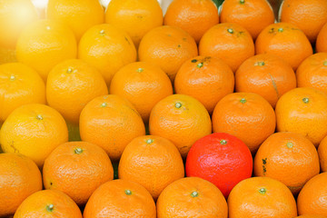 Closeup of row of some oranges with one  Red orange in a conceptual idea about , be different and Stand out from the crowd, be yourself and follow your heart not others. speak up.