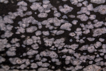 Naklejka premium Snowflake obsidian stone, texture background