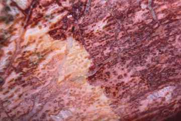 Leopard Skin Jasper Background