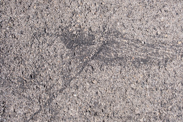 Cracked and Patterned Texture